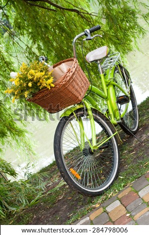 Green bicycle with flower basket  waiting near tree.