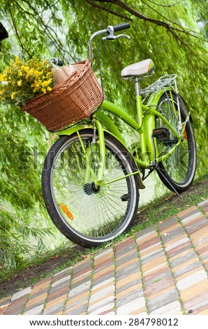 Green bicycle with flower basket  waiting near tree.