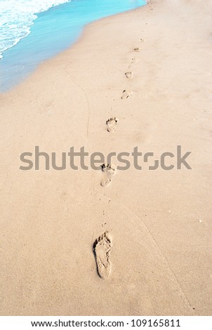 Footprints trail in wet sand of beach in sunny day