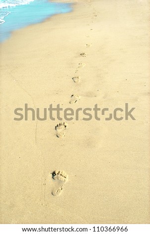 Footprints trail in wet sand of beach in sunny day