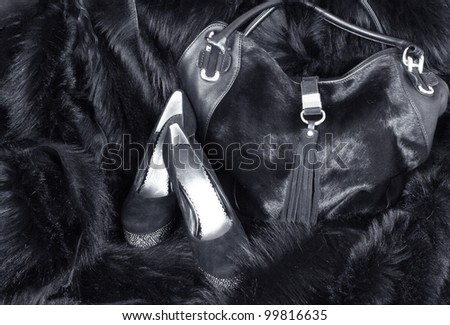 woman wear accessories: fashionable handbag and shoes at fur