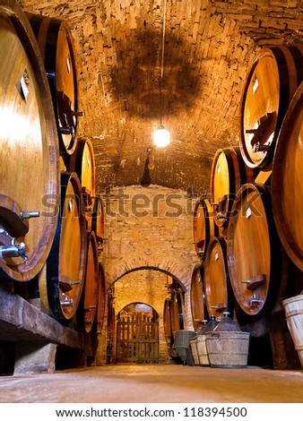 View from the floor of a wine cellar with barrels of wine