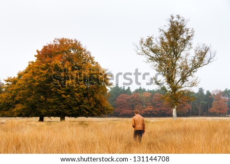 Young man wanders in a field in autumn in national park \'De hoge Veluwe\' in the Netherlands