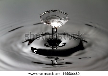 Beautiful high speed image of a water drop experiment