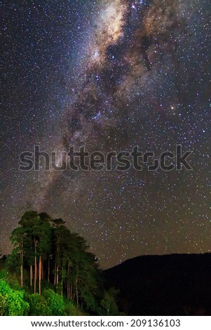 Magnificent view of the milky way from Ranomafana national park, Madagascar