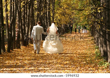stock photo autumn wedding tree park romance couple walk autumn wedding
