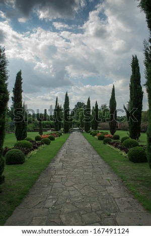 View of straight, paved pathway framed by narrow straight trees, England