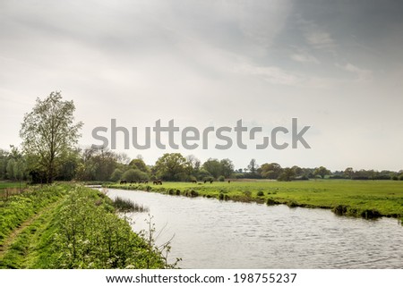 essex countryside  image with a group of horses near water