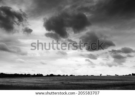 shot taken on east mersea island looking across a field with a moody sky