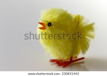 small fluffy decorative toy chicken  shot in the studio on white perspex background