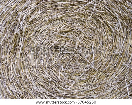 texture back ground image showing detail of a hay barrel