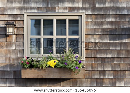 Colorful flowers growing in a window box with a wood shingle wall background.
