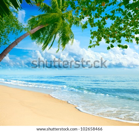 Sandy tropical beach in summer sunny day