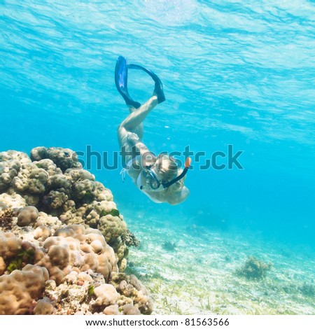 Beautiful woman diver swimming among the coral reef