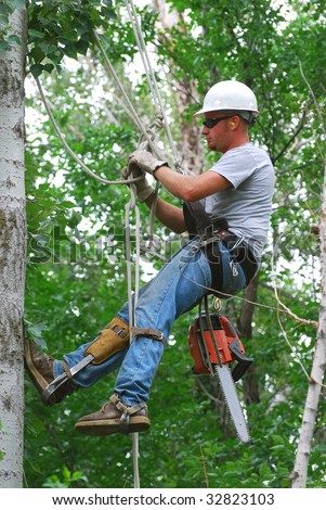 Man climbing tree to cut branches.