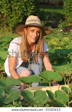 Young woman picking a banana squash from her victory garden.