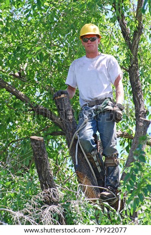 Man working in a tree to trim it with all his gear and equipment for safety.