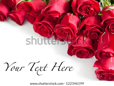 Red Roses On White Background
