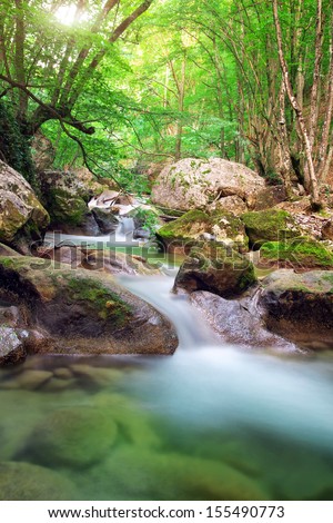 Mountain river. A stream of water in forest and mountain terrain