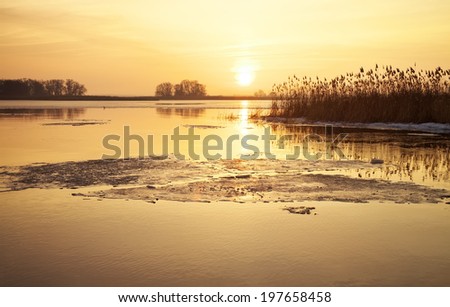Winter landscape with river, reeds and sunset sky. Beautiful winter landscape. Composition of nature.