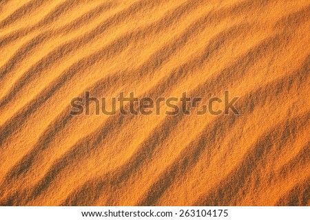 Desert sand background. Golden desert into the sunset