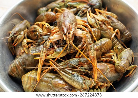 Live crawfishes in a metal bowl before cooking