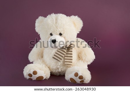 Fluffy teddy bear on a deep pink background