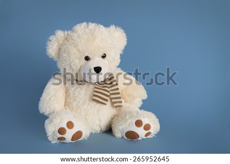 Fluffy teddy bear toy on a blue background