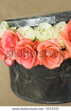 An arrangement of roses in a round metal hat box. The image is on a natural colored background. There are 2 rows of colored roses and they are peeping out of the box