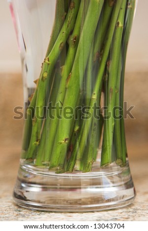 Base of a vase with rose stems in water