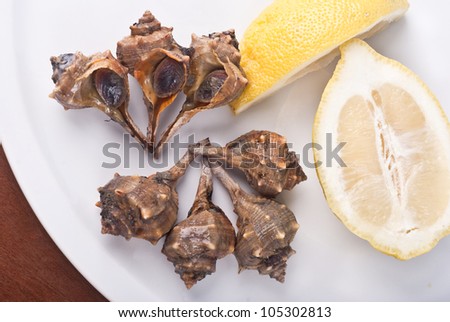 Sea snails