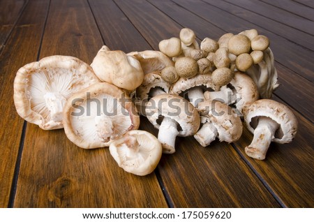 different types of edible mushrooms on wooden table.Brown beech mushrooms, Shimeji mushroom, baby bella Edible mushroom