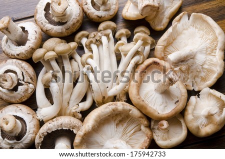 Texture of edible mushrooms on wood table