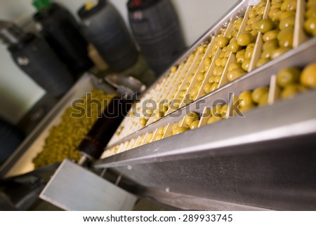 Photos of olives factory in mechanical sieve