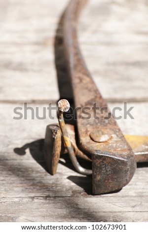a bent nail in pliers - looser concept. Shallow depth of field, focus on the nail head
