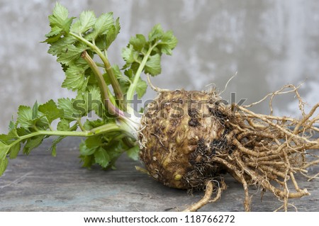 fresh organic grown celery root at wooden table