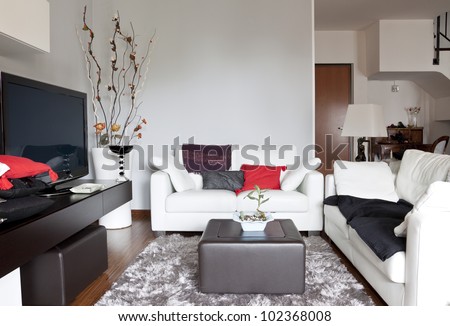 Interior decoration of a living room, sofa and tv
