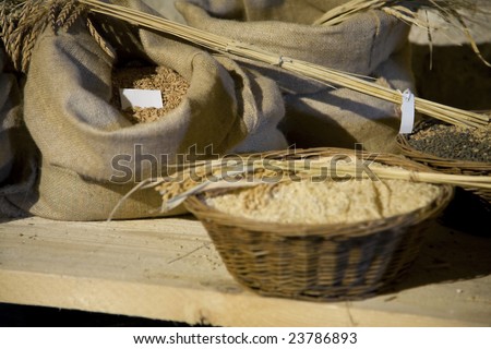 Sackcloth bags with grain, seeds and corn, wheat stems with seeds
