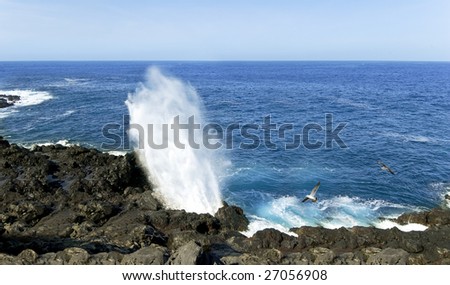ocean surf waves break on the rocky coast and sunny summer day