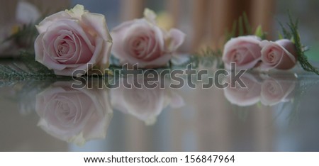 Wedding props/Pink Roses