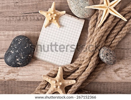 travel background, starfish and ship rope on the background of an old tree