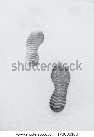 Foot Prints In Fresh Snow