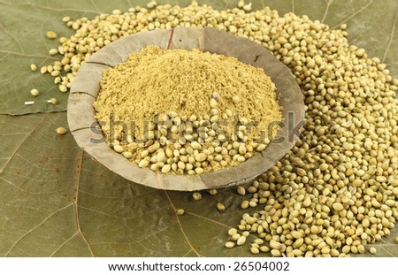 coriander powder in dry leaf background