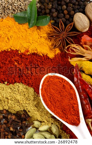 All kinds of spice and flavoring ingredients arranged beautifully