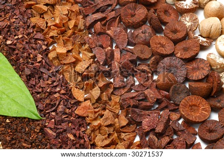 betel nuts with betel leaf