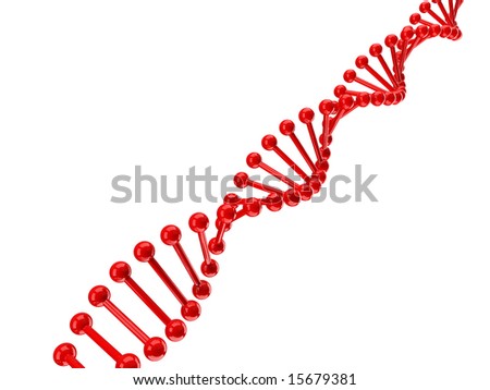 DNA MOLECULE DIAGRAM LABELED