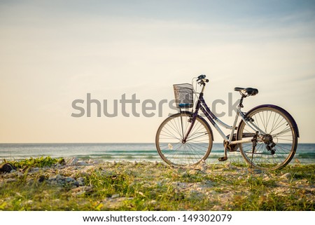 Bicycle Parked In Paradise Island