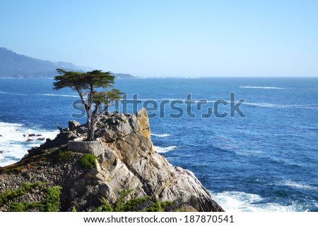 17 MILE DRIVE, PEBBLE BEACH, CA - APR 03: Famous Lone Cypress tree on California's scenic 17-mile drive in Pebble Beach on April 03, 2011
