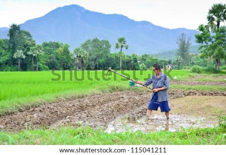 old asian man in farm of thailand southeast asia