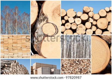 A collage of different types of wood piles, save of natural environment concept